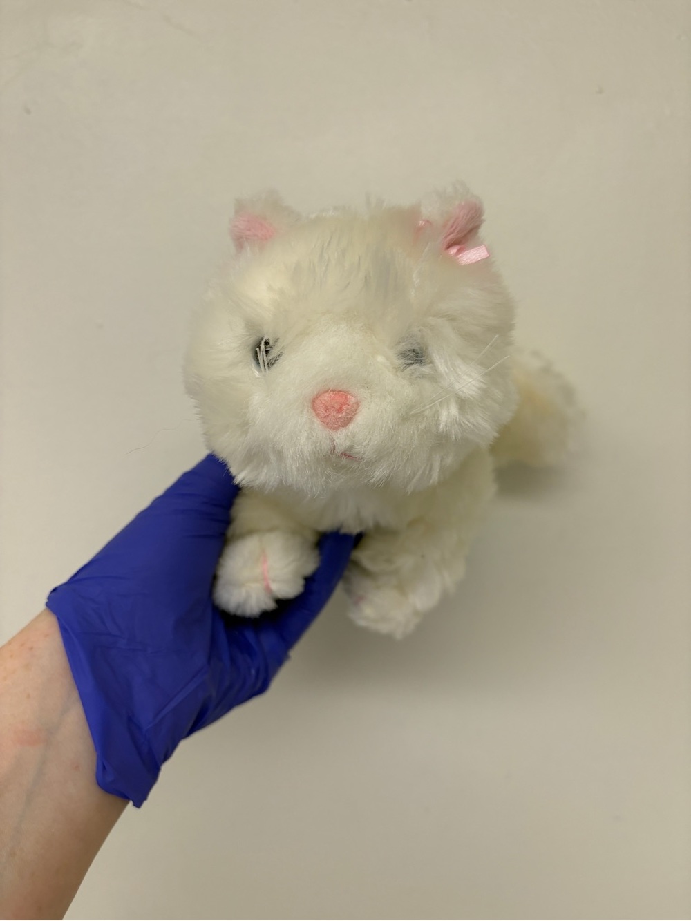 GANZ Webkins Persian Cat